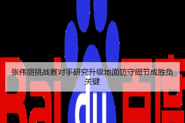 张伟丽挑战赛对手研究升级地面防守细节成胜负关键