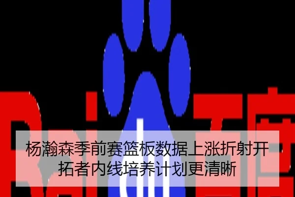 杨瀚森季前赛篮板数据上涨折射开拓者内线培养计划更清晰